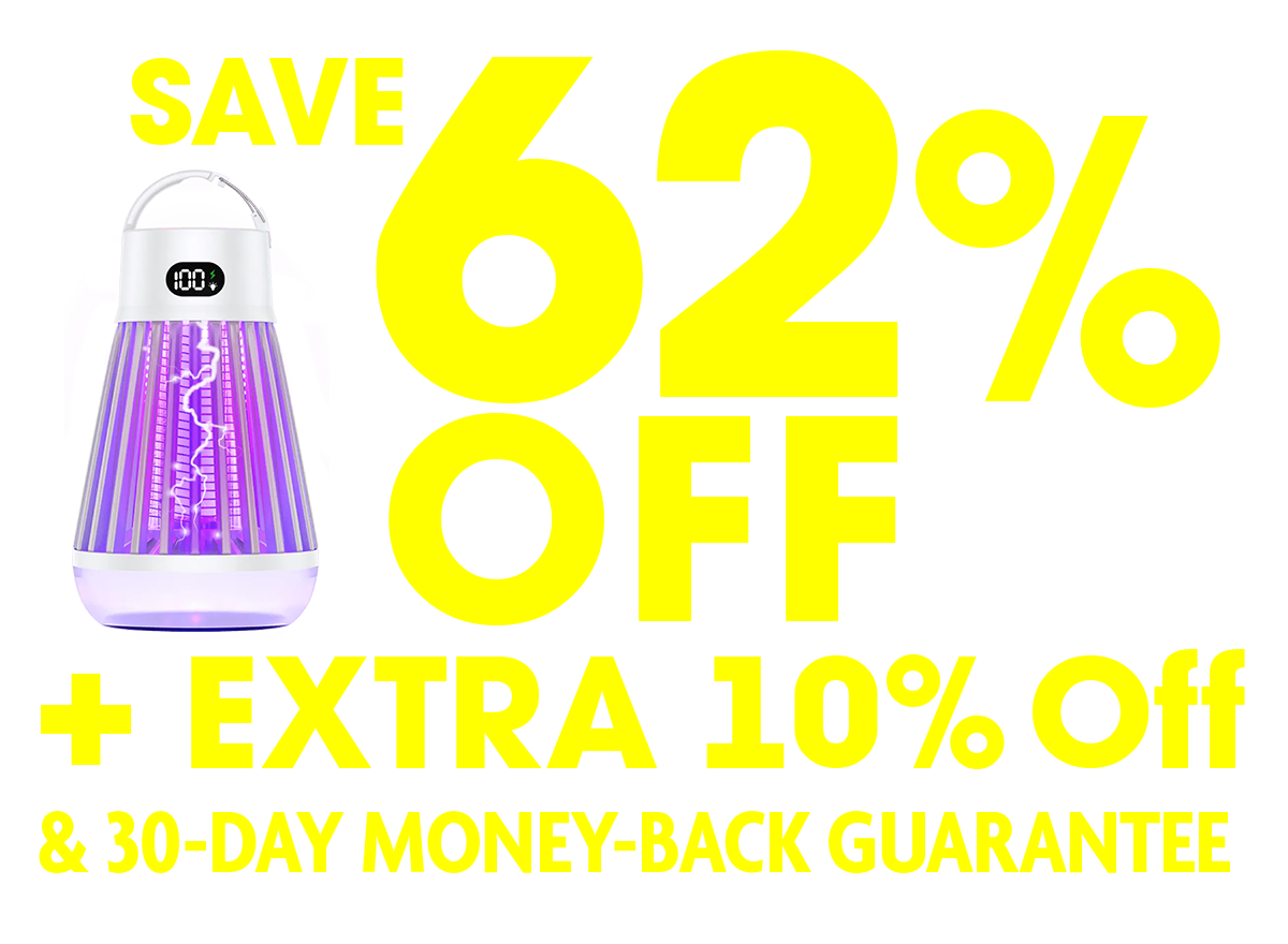 Zappify 50% Off